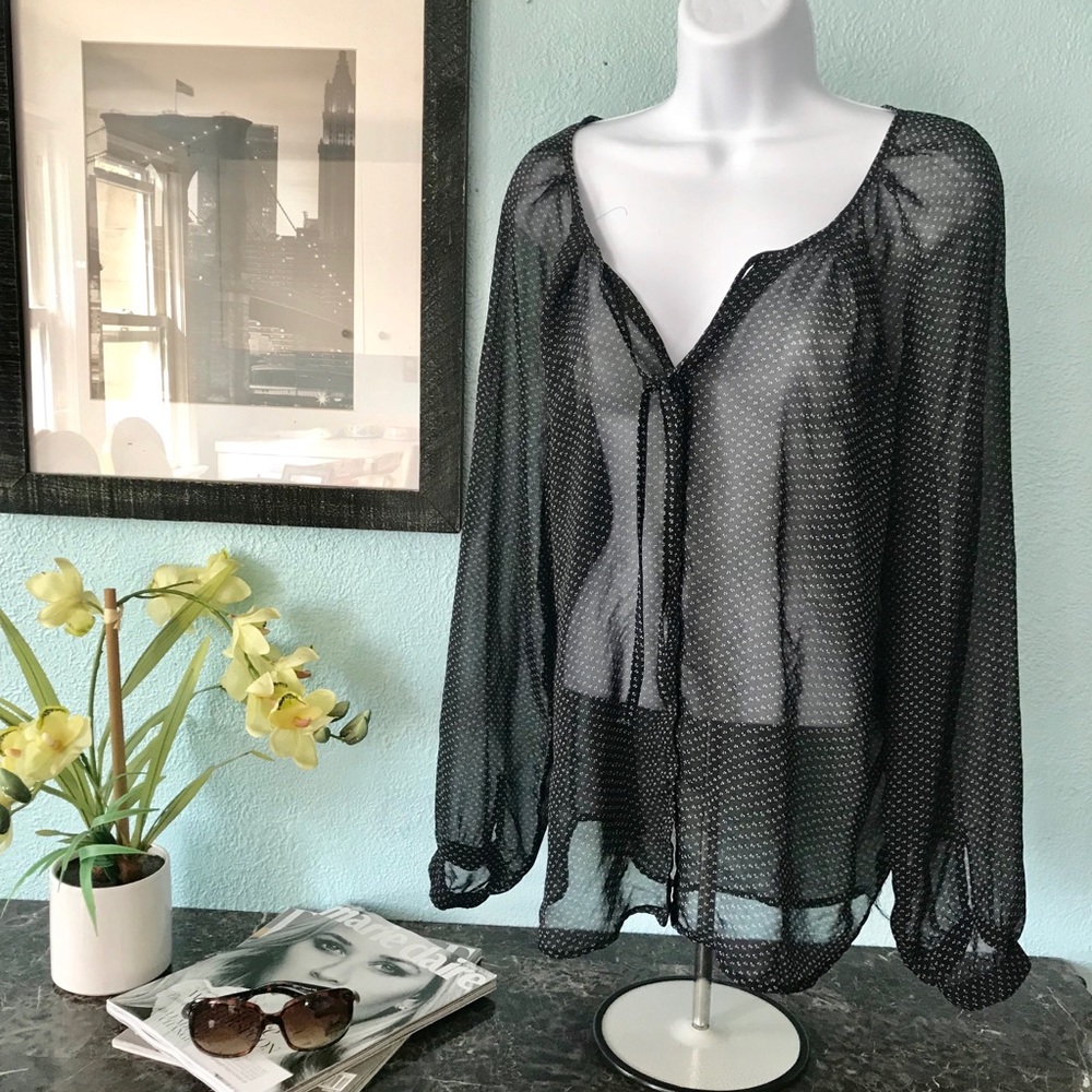 Sheer long sleeved shirt